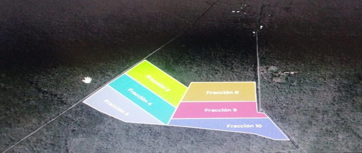 Foto de terreno habitacional en venta en  , tamchen, kinchil, yucatán, 30164656 No. 04