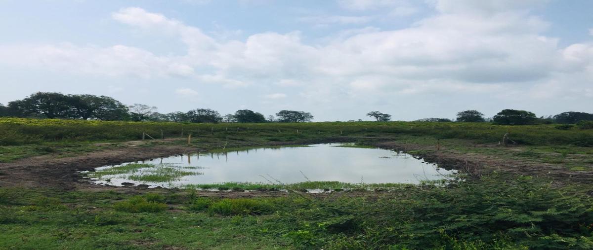 Foto de rancho en venta en  , tamiahua, tamiahua, veracruz de ignacio de la llave, 15800056 No. 03