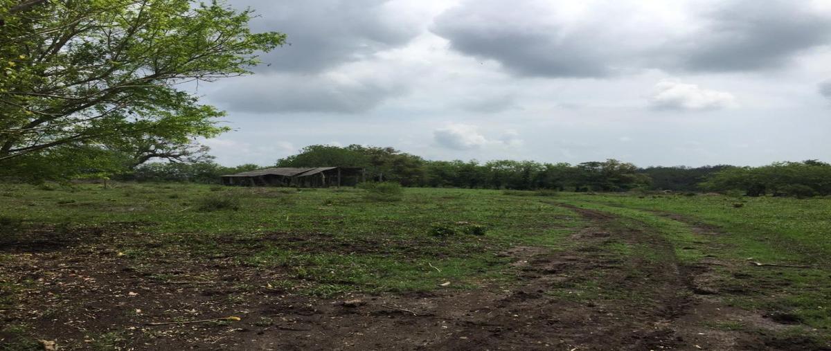 Foto de rancho en venta en  , tamiahua, tamiahua, veracruz de ignacio de la llave, 15800056 No. 05