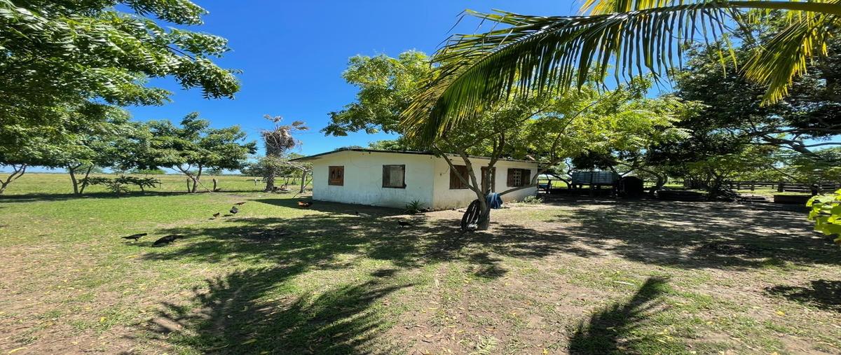 Foto de rancho en , tamiahua, tamiahua, veracruz de ignacio de la llave, 26654228 foto 01 Foto de rancho en venta en , tamiahua, tamiahua, veracruz de ignacio de la llave, 26654228 No. 01
