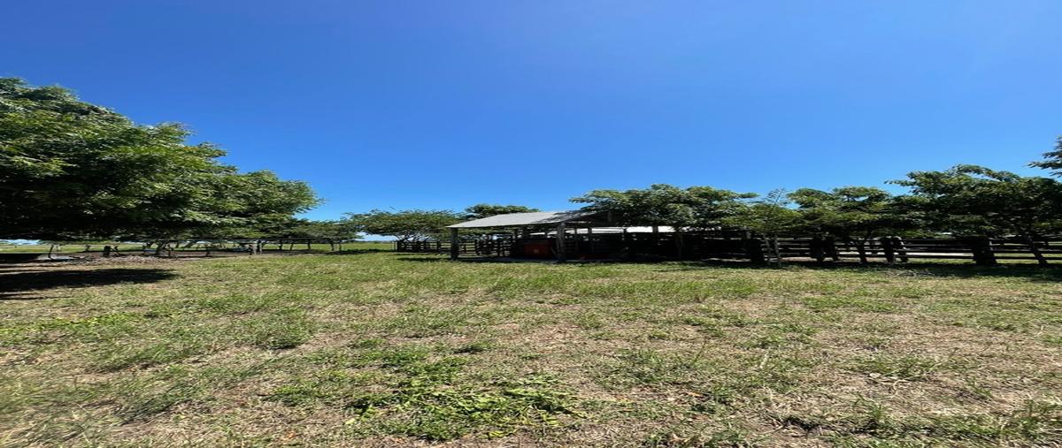 Foto de rancho en , tamiahua, tamiahua, veracruz de ignacio de la llave, 26654228 foto 03 Foto de rancho en venta en , tamiahua, tamiahua, veracruz de ignacio de la llave, 26654228 No. 03