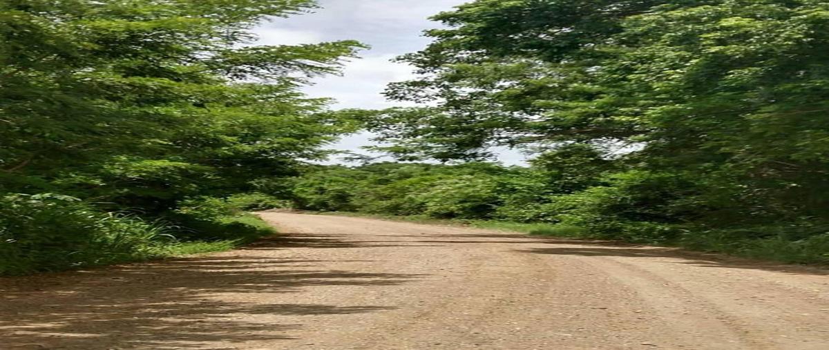 Foto de terreno habitacional en venta en  , tamiahua, tamiahua, veracruz de ignacio de la llave, 0 No. 03