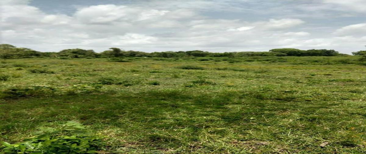 Foto de terreno habitacional en venta en  , tamiahua, tamiahua, veracruz de ignacio de la llave, 0 No. 05