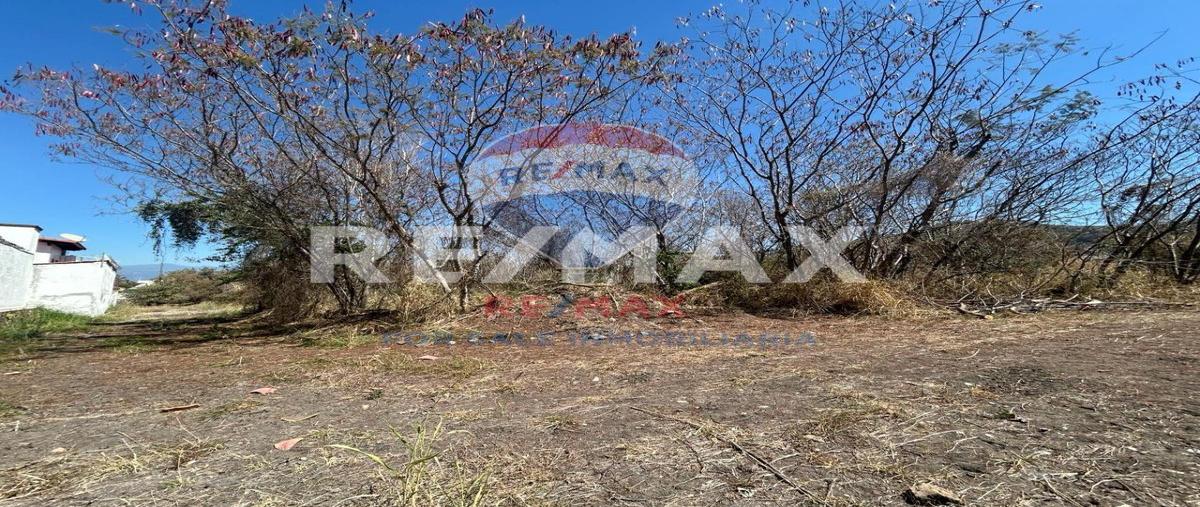 Foto de terreno habitacional en venta en tamonchan , tamoanchan, jiutepec, morelos, 0 No. 04