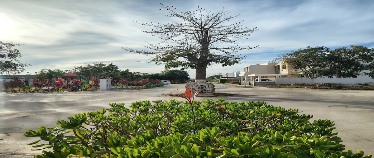 Foto de terreno habitacional en venta en tamora , cholul, mérida, yucatán, 0 No. 04