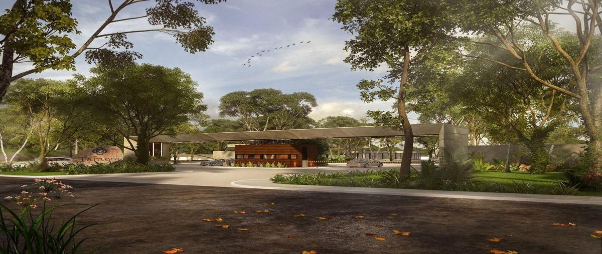 Foto de terreno habitacional en venta en tamora , conkal, conkal, yucatán, 30592113 No. 03