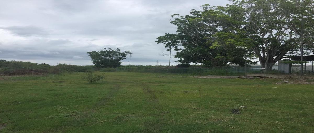 Foto de terreno habitacional en venta en  , tamos, pánuco, veracruz de ignacio de la llave, 28117130 No. 04
