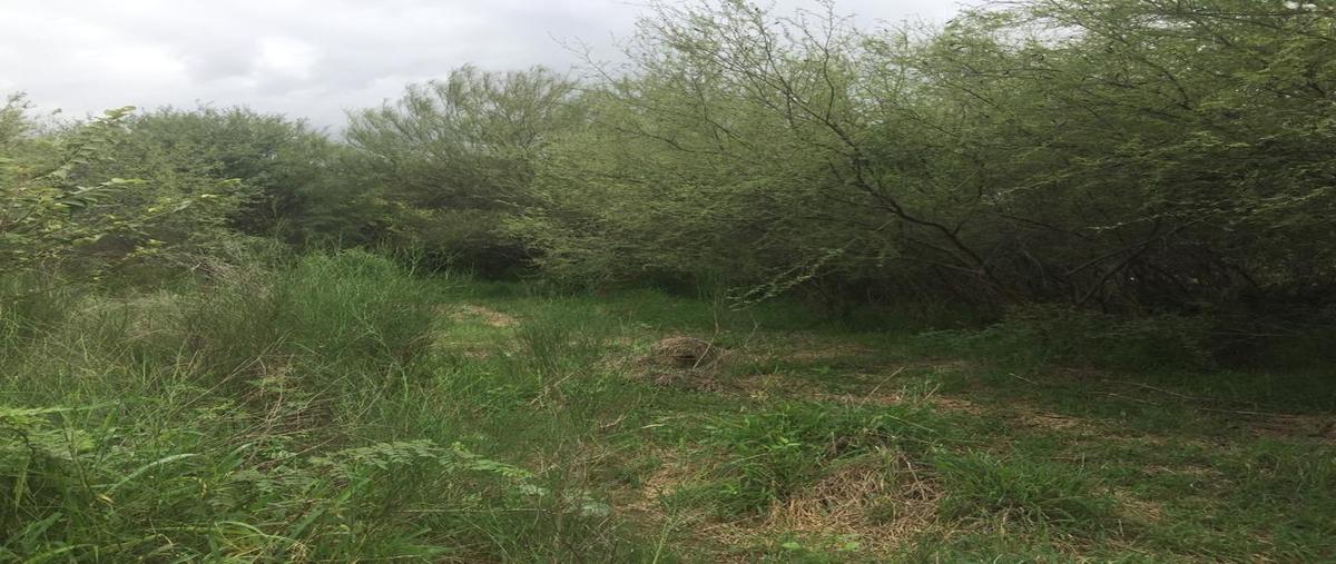 Foto de terreno habitacional en venta en  , tamos, pánuco, veracruz de ignacio de la llave, 28117130 No. 05