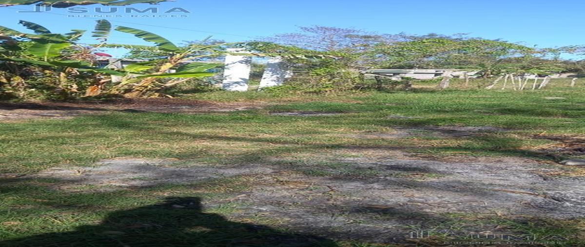 Foto de terreno habitacional en , tamos, pánuco, veracruz de ignacio de la llave, 30264841 foto 02 Foto de terreno habitacional en venta en , tamos, pánuco, veracruz de ignacio de la llave, 30264841 No. 02