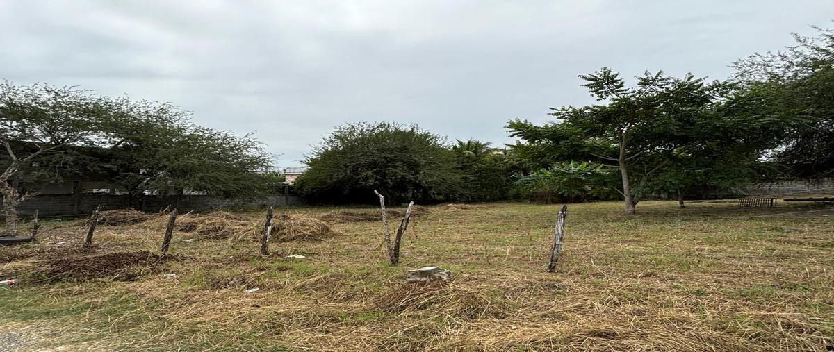 Foto de casa en venta en  , tamos, pánuco, veracruz de ignacio de la llave, 30302194 No. 04