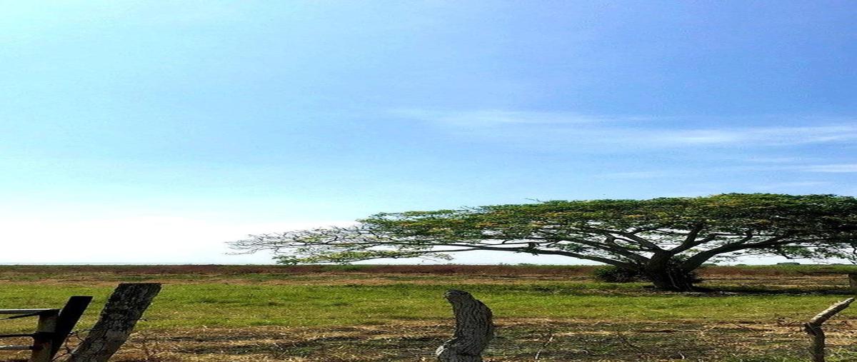 Foto de terreno habitacional en venta en  , tamos, pánuco, veracruz de ignacio de la llave, 0 No. 04
