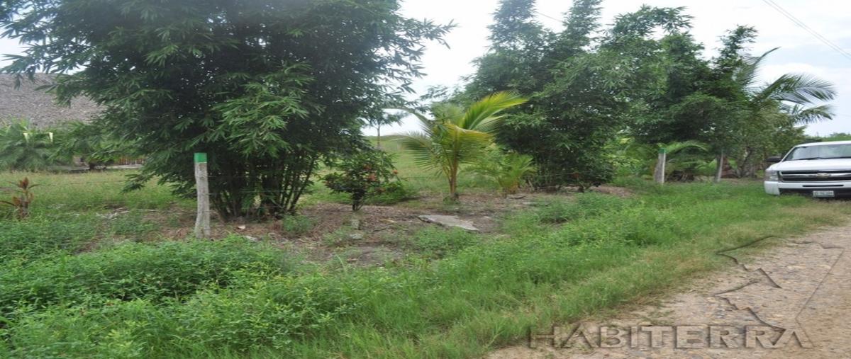 Foto de terreno habitacional en venta en  , tampamachoco, tuxpan, veracruz de ignacio de la llave, 20548912 No. 03