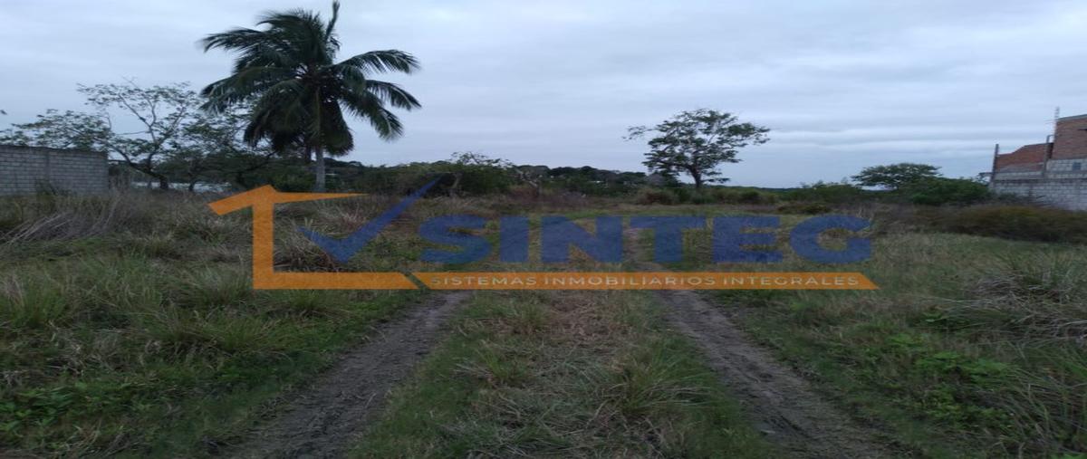 Foto de terreno habitacional en venta en  , tampamachoco, tuxpan, veracruz de ignacio de la llave, 27592196 No. 03