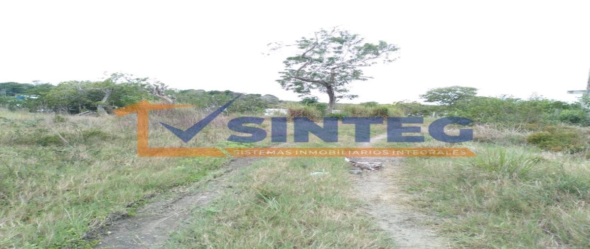 Foto de terreno habitacional en venta en  , tampamachoco, tuxpan, veracruz de ignacio de la llave, 27592196 No. 04