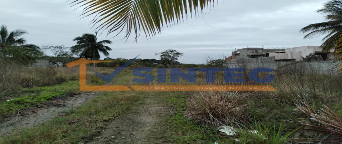 Foto de terreno habitacional en venta en  , tampamachoco, tuxpan, veracruz de ignacio de la llave, 27592196 No. 05