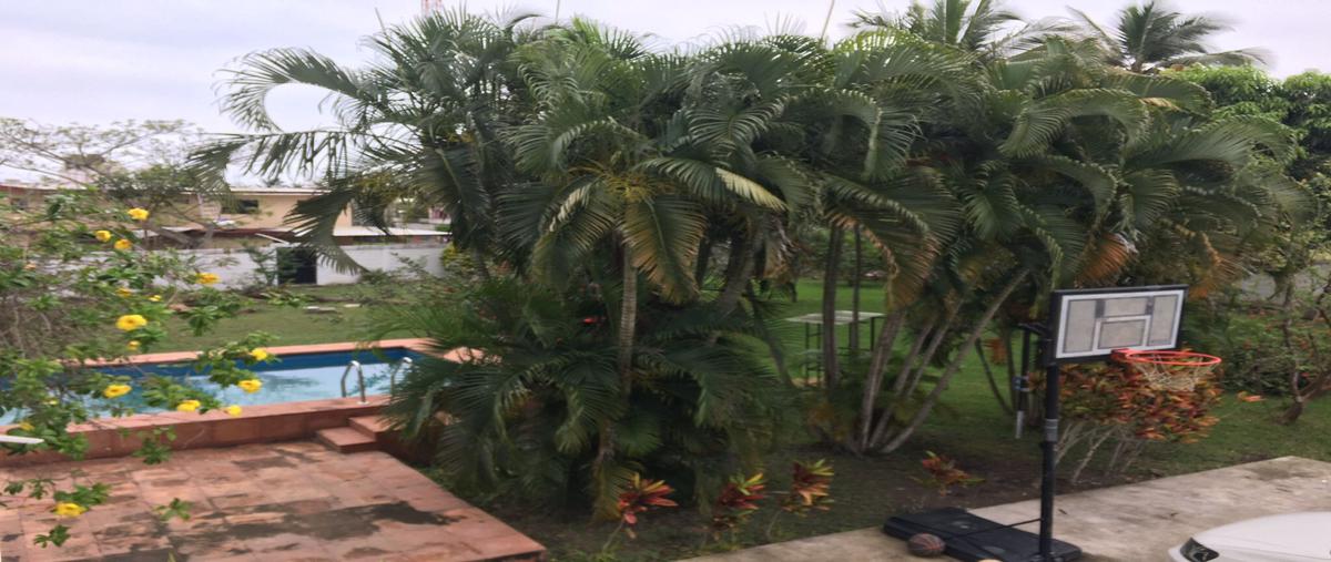 Foto de edificio en renta en  , tampamachoco, tuxpan, veracruz de ignacio de la llave, 27998566 No. 04