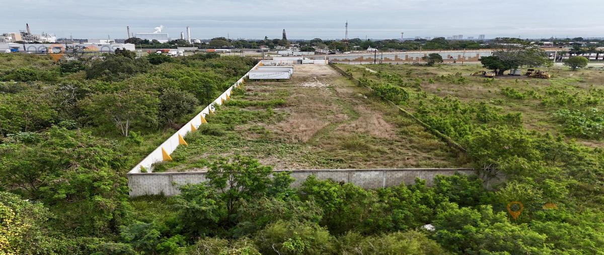 Foto de terreno habitacional en renta en  , tampico altamira, altamira, tamaulipas, 0 No. 03