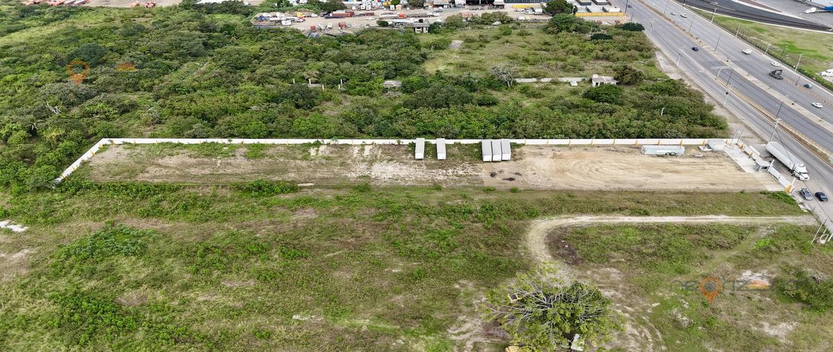 Foto de terreno habitacional en renta en  , tampico altamira, altamira, tamaulipas, 0 No. 04