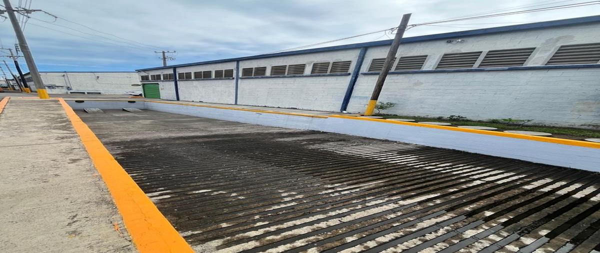 Foto de bodega en renta en  , tampico altamira, altamira, tamaulipas, 0 No. 04