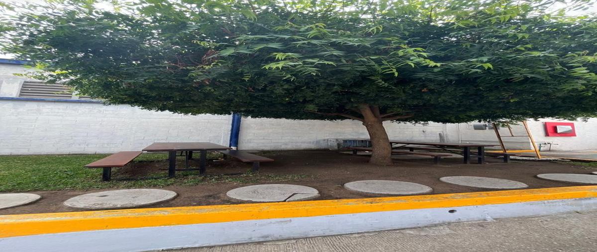 Foto de bodega en renta en  , tampico altamira, altamira, tamaulipas, 0 No. 05