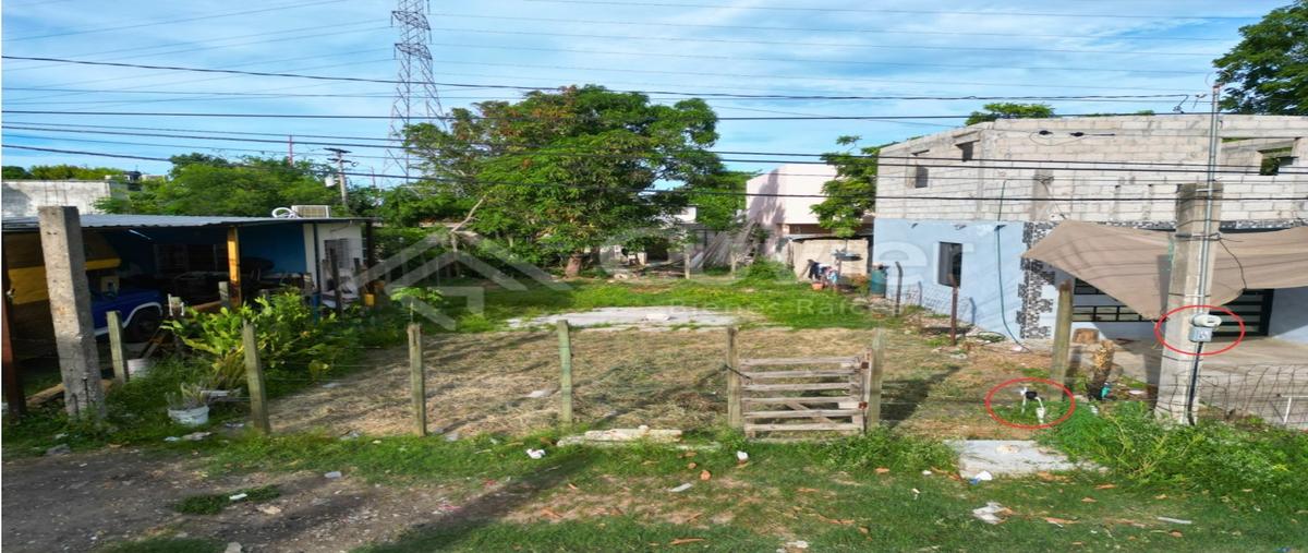 Foto de terreno habitacional en venta en  , tampico altamira sector 2, altamira, tamaulipas, 26980869 No. 04
