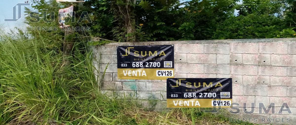 Foto de terreno habitacional en venta en  , tampico alto centro, tampico alto, veracruz de ignacio de la llave, 22736019 No. 03