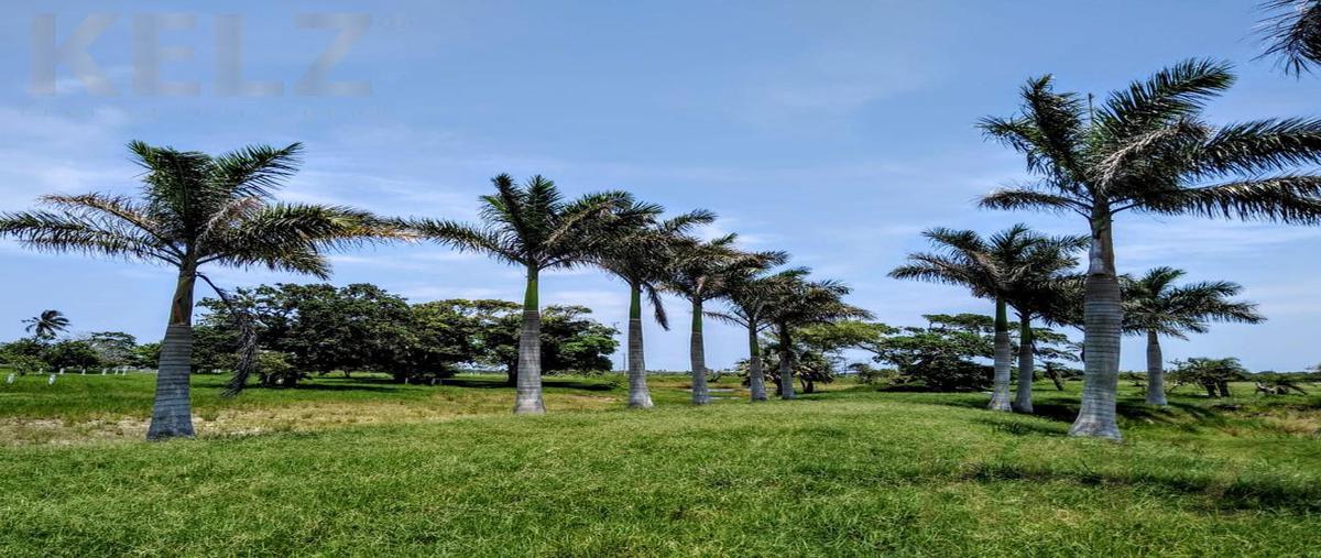 Foto de terreno habitacional en venta en  , tampico alto centro, tampico alto, veracruz de ignacio de la llave, 0 No. 05
