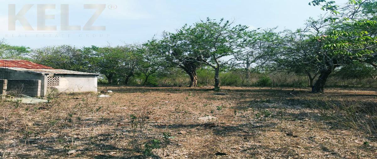 Foto de terreno habitacional en , tampico alto centro, tampico alto, veracruz de ignacio de la llave, 0 foto 02 Foto de terreno habitacional en venta en , tampico alto centro, tampico alto, veracruz de ignacio de la llave, 0 No. 02