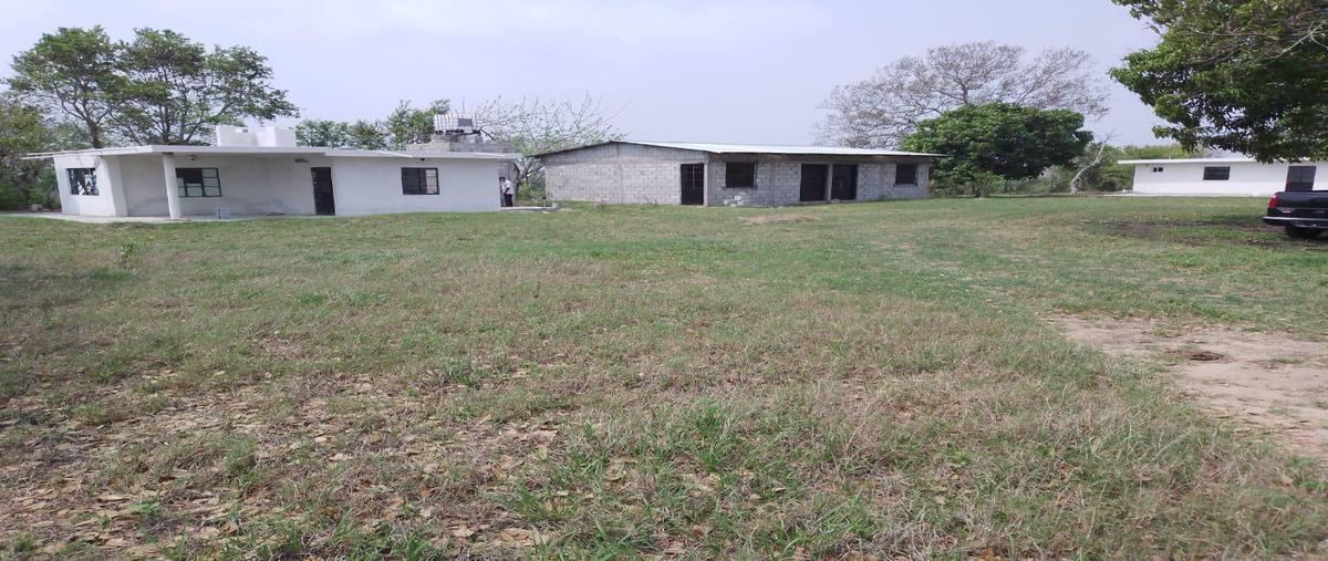 Foto de rancho en venta en  , tampico alto centro, tampico alto, veracruz de ignacio de la llave, 0 No. 04