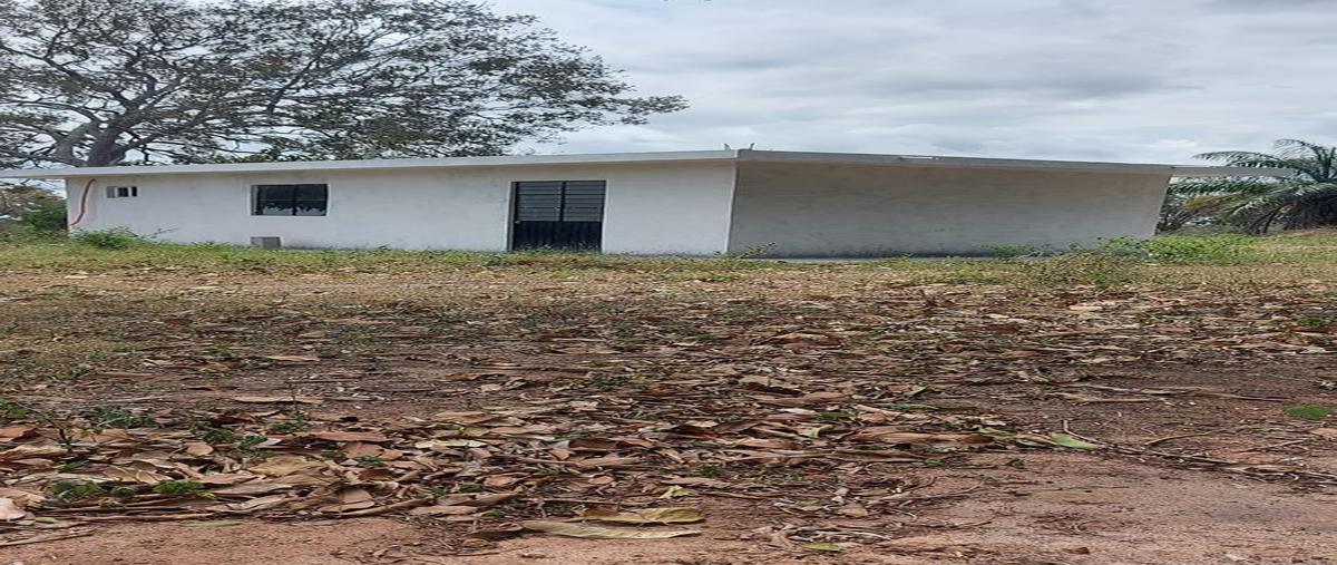 Foto de rancho en venta en  , tampico alto centro, tampico alto, veracruz de ignacio de la llave, 0 No. 05