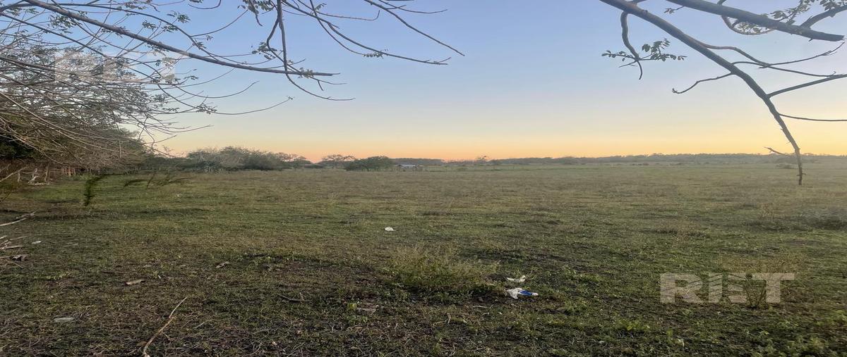 Foto de rancho en venta en  , tampico alto centro, tampico alto, veracruz de ignacio de la llave, 0 No. 03