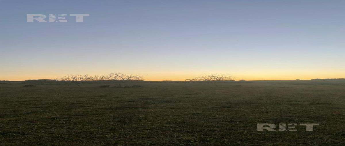 Foto de rancho en venta en  , tampico alto centro, tampico alto, veracruz de ignacio de la llave, 0 No. 04