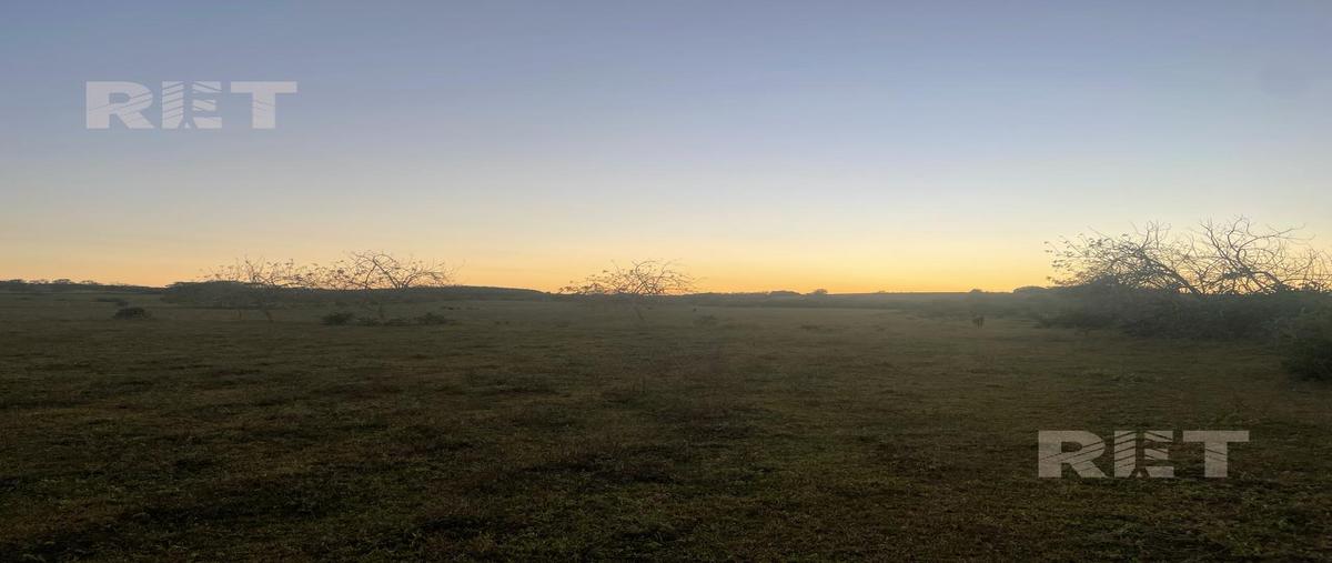 Foto de rancho en venta en  , tampico alto centro, tampico alto, veracruz de ignacio de la llave, 0 No. 05