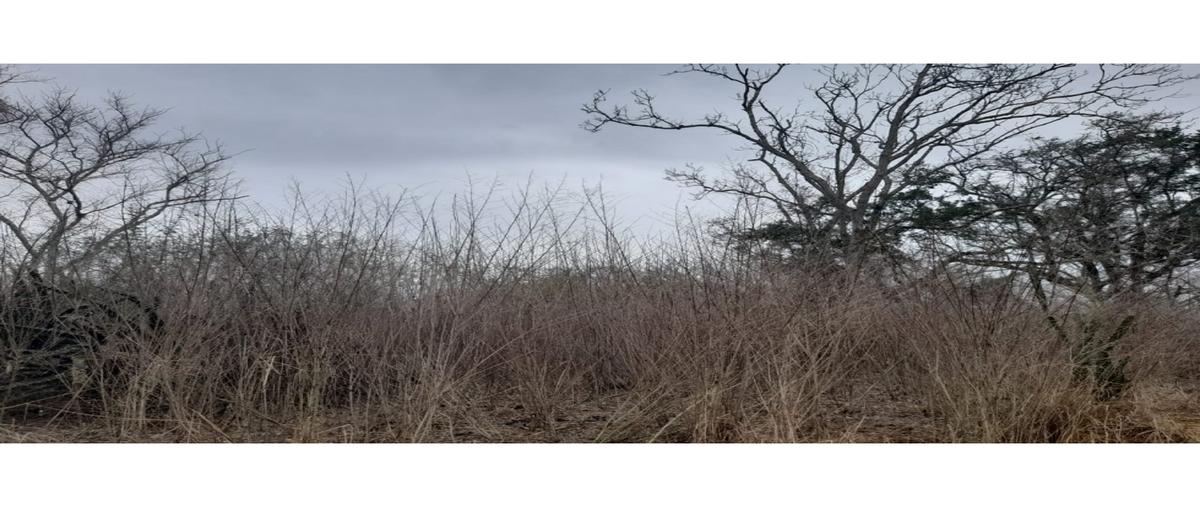 Foto de rancho en venta en  , tampico alto centro, tampico alto, veracruz de ignacio de la llave, 0 No. 03
