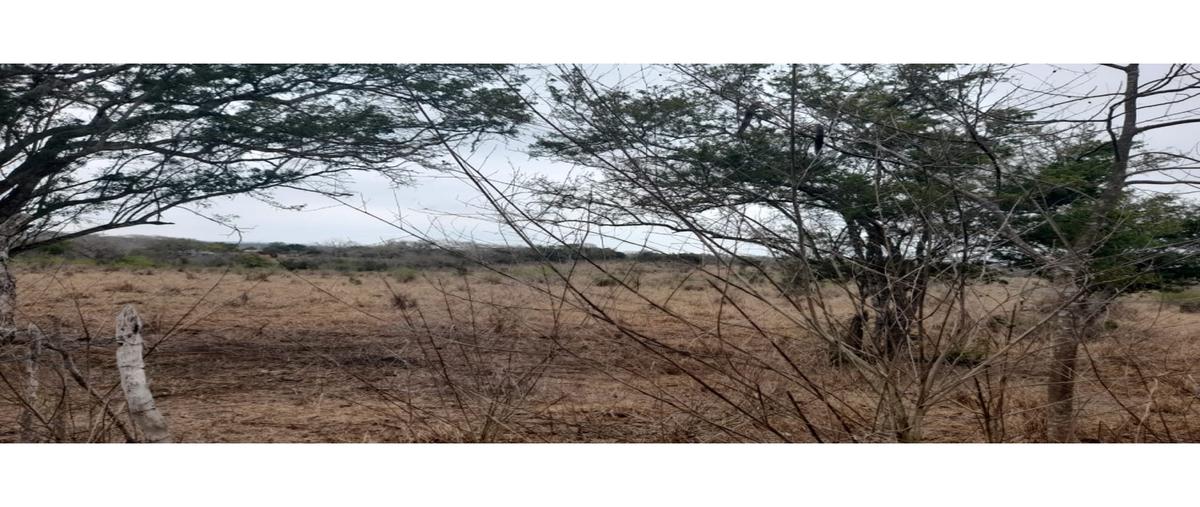 Foto de rancho en venta en  , tampico alto centro, tampico alto, veracruz de ignacio de la llave, 0 No. 04