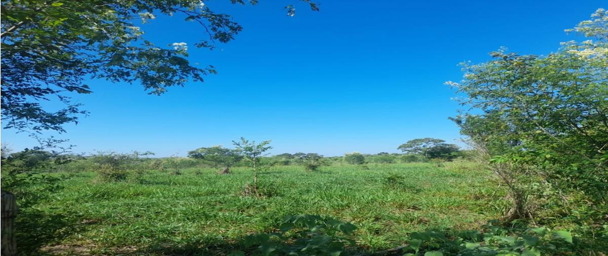Foto de rancho en venta en  , tampico alto centro, tampico alto, veracruz de ignacio de la llave, 0 No. 05