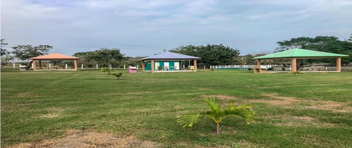 Foto de terreno habitacional en venta en  , tampico alto centro, tampico alto, veracruz de ignacio de la llave, 0 No. 03