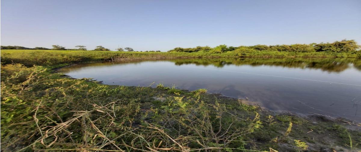 Foto de terreno habitacional en , tampico alto centro, tampico alto, veracruz de ignacio de la llave, 0 foto 03 Foto de terreno habitacional en venta en , tampico alto centro, tampico alto, veracruz de ignacio de la llave, 0 No. 03