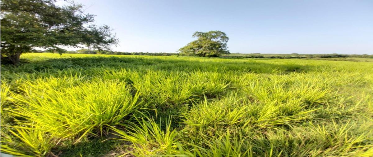 Foto de terreno habitacional en , tampico alto centro, tampico alto, veracruz de ignacio de la llave, 0 foto 05 Foto de terreno habitacional en venta en , tampico alto centro, tampico alto, veracruz de ignacio de la llave, 0 No. 05