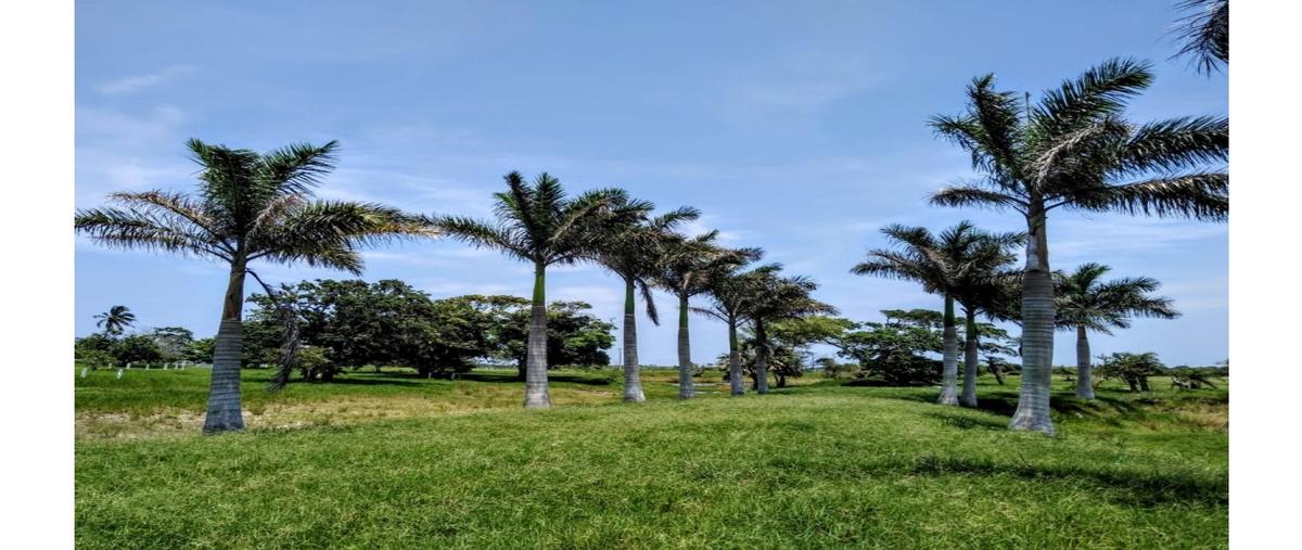 Foto de terreno habitacional en venta en  , tampico alto centro, tampico alto, veracruz de ignacio de la llave, 0 No. 05