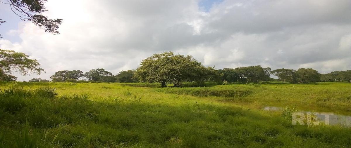 Foto de rancho en venta en  , tampico alto centro, tampico alto, veracruz de ignacio de la llave, 0 No. 04