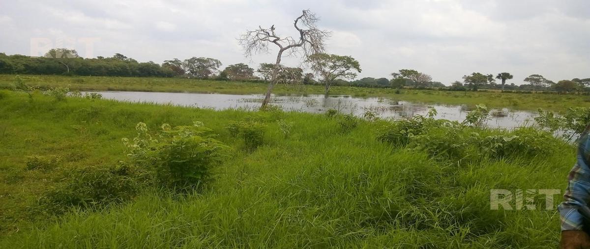 Foto de rancho en venta en  , tampico alto centro, tampico alto, veracruz de ignacio de la llave, 0 No. 05