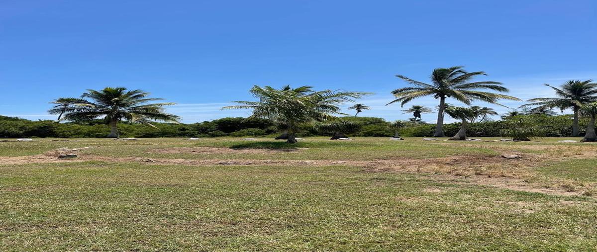 Foto de terreno habitacional en venta en  , tampico alto centro, tampico alto, veracruz de ignacio de la llave, 28853502 No. 05