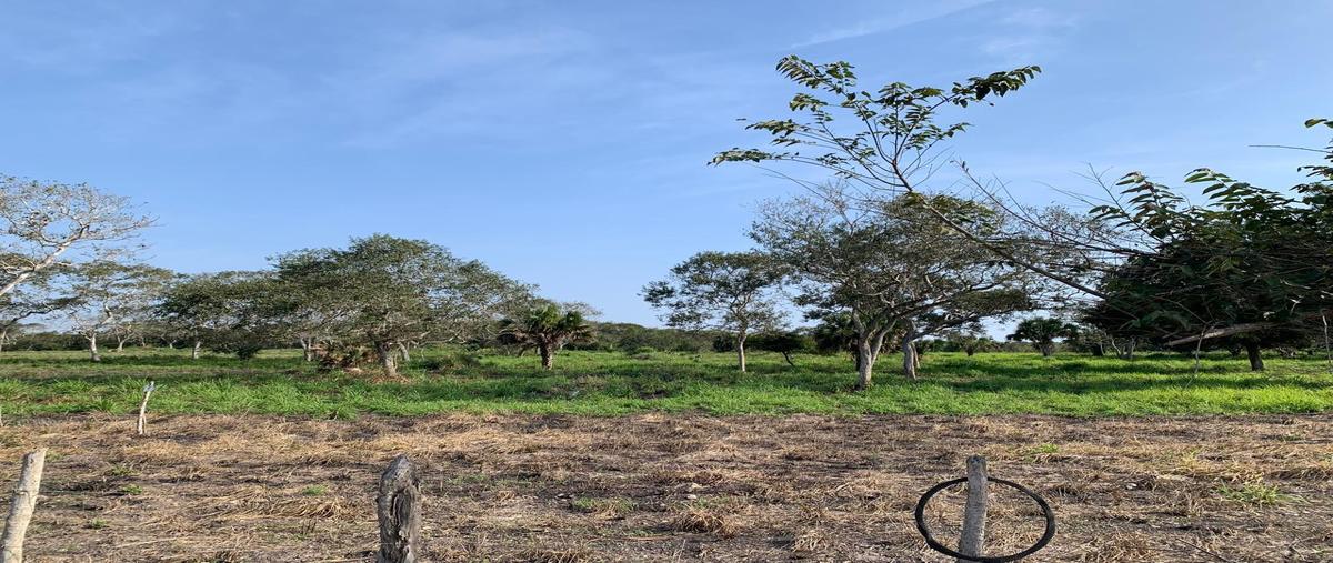 Foto de terreno habitacional en venta en  , tampico alto centro, tampico alto, veracruz de ignacio de la llave, 0 No. 03
