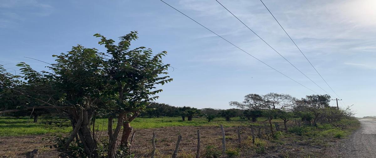 Foto de terreno habitacional en venta en  , tampico alto centro, tampico alto, veracruz de ignacio de la llave, 0 No. 04