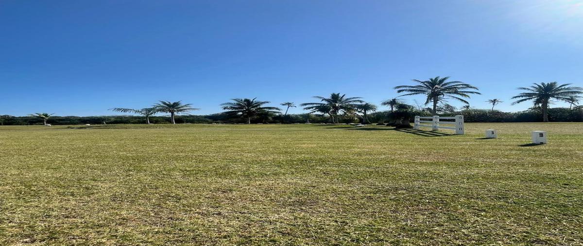 Foto de terreno habitacional en venta en  , tampico alto centro, tampico alto, veracruz de ignacio de la llave, 0 No. 04