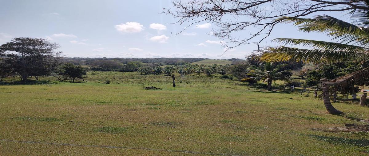 Foto de terreno habitacional en venta en  , tampico alto centro, tampico alto, veracruz de ignacio de la llave, 0 No. 03