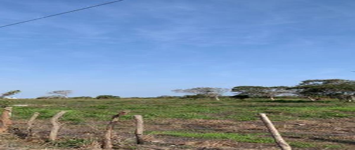 Foto de terreno habitacional en venta en  , tampico alto centro, tampico alto, veracruz de ignacio de la llave, 0 No. 05