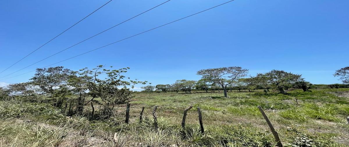 Foto de terreno habitacional en , tampico alto centro, tampico alto, veracruz de ignacio de la llave, 0 foto 02 Foto de terreno habitacional en venta en , tampico alto centro, tampico alto, veracruz de ignacio de la llave, 0 No. 02