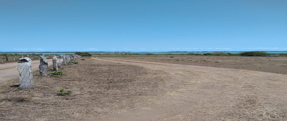 Foto de terreno habitacional en venta en  , tampico alto centro, tampico alto, veracruz de ignacio de la llave, 30034185 No. 03